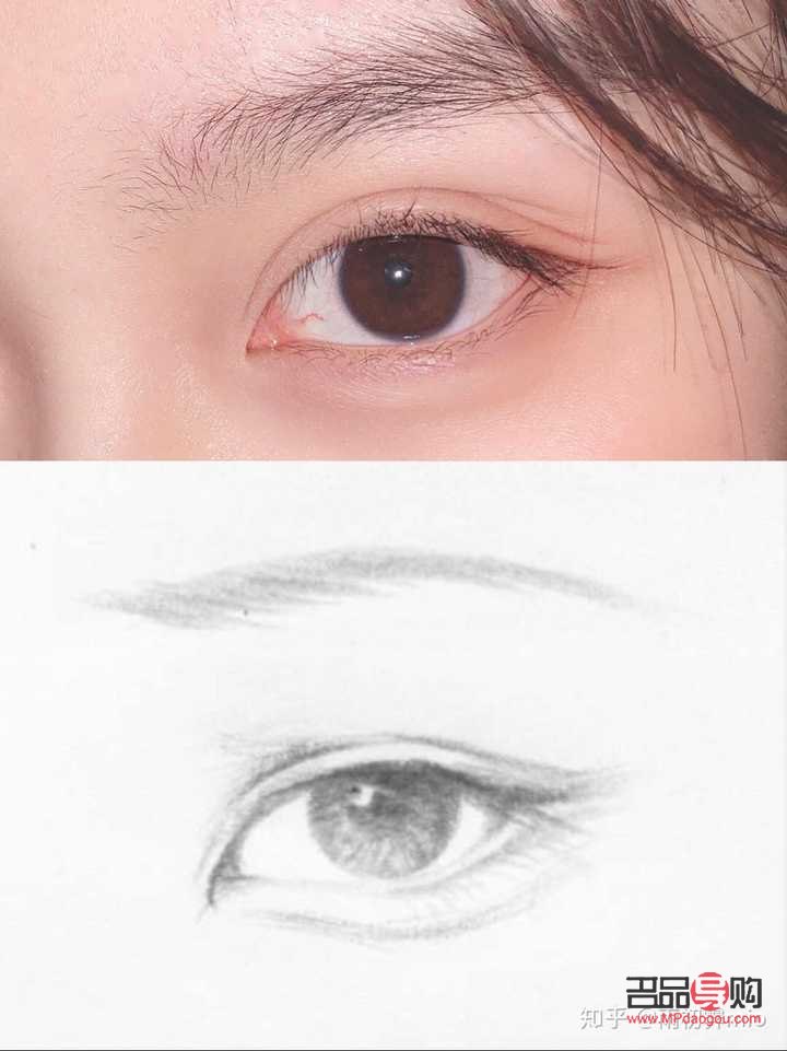 <h3>桃花眼与杏眼：深度解析两者之间的独特差异</h3>