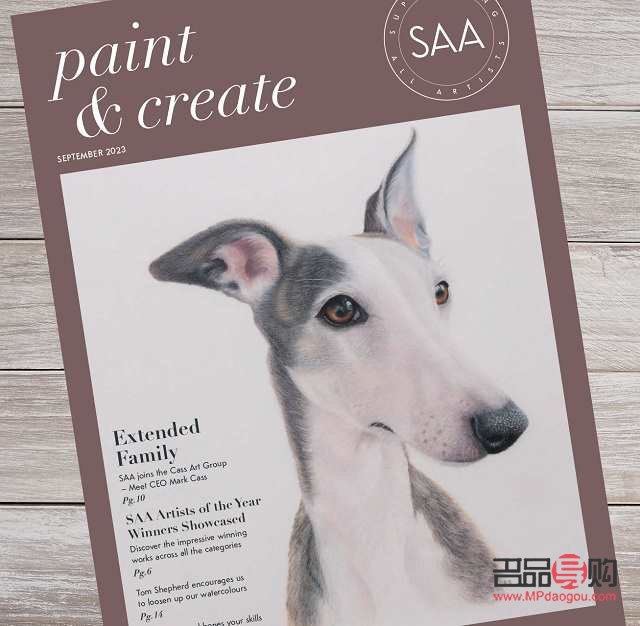 <h3>小狗彩妆绘制指南</h3>