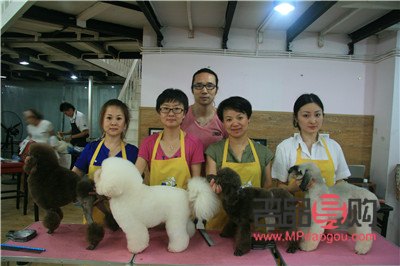 学美容要多少时间(学美容要多少时间才学会)