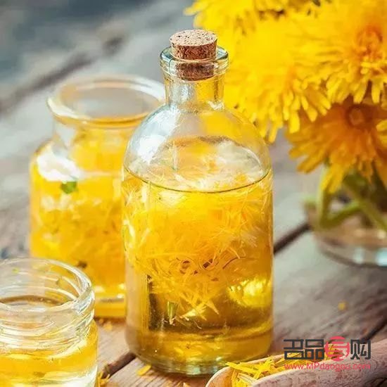 蒲公英能美容吗(蒲公英能美容吗百度百科)