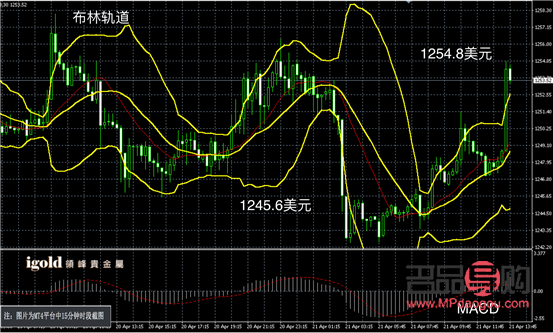 <h3>上海黄金今日实时行情分析</h3>