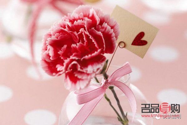 <h3>母亲节礼物选购指南：温馨又美观的选择</h3>