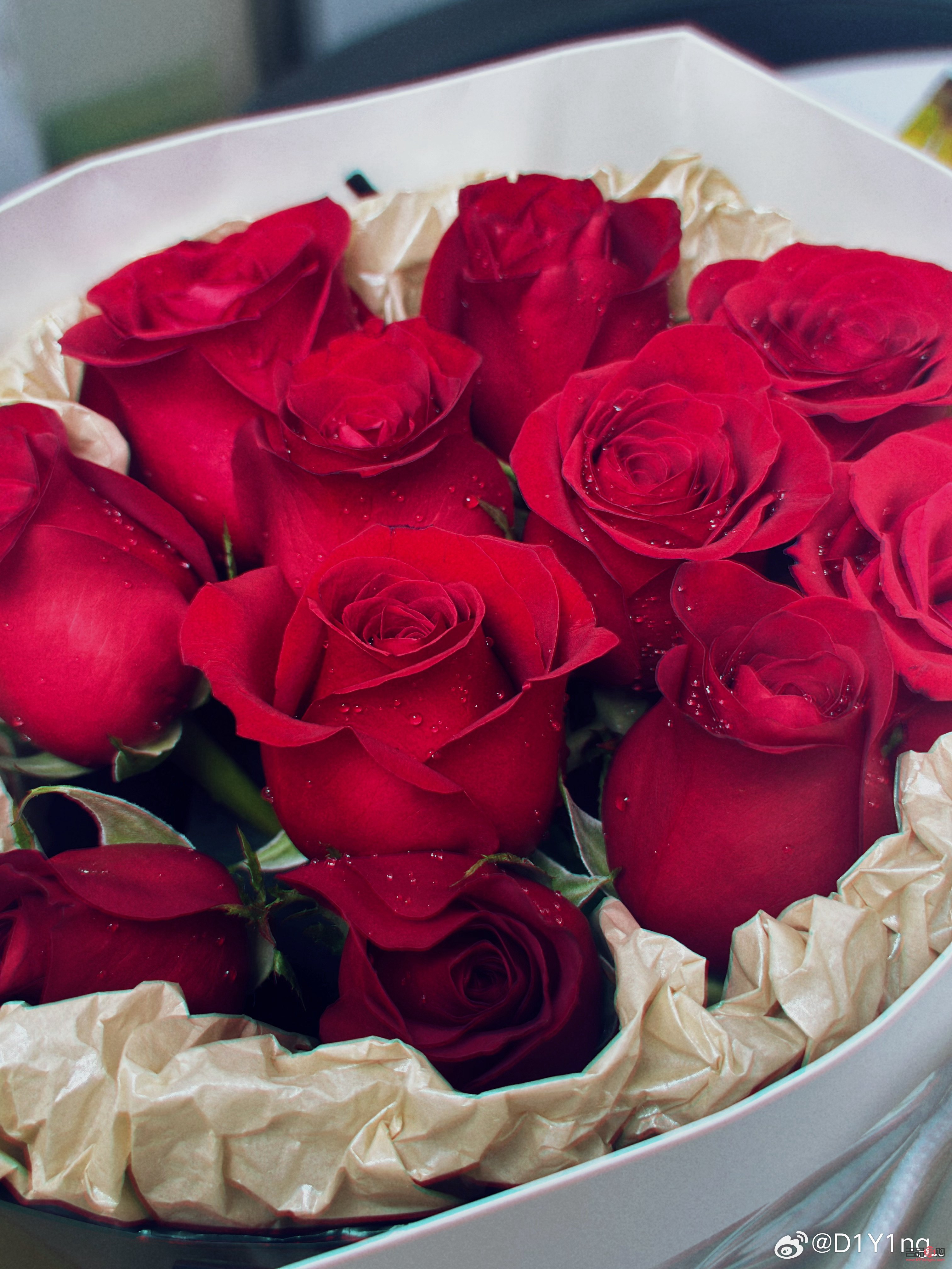 <h3>仪陇人的心爱之物：探寻最受喜爱的礼物</h3>