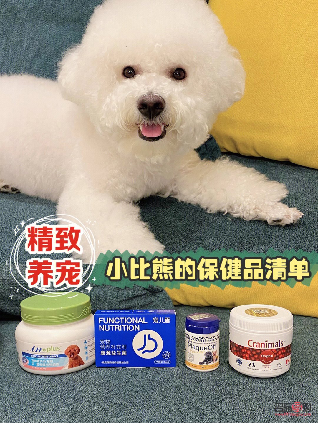 比熊身体护理有哪些药(比熊身体护理有哪些药品)