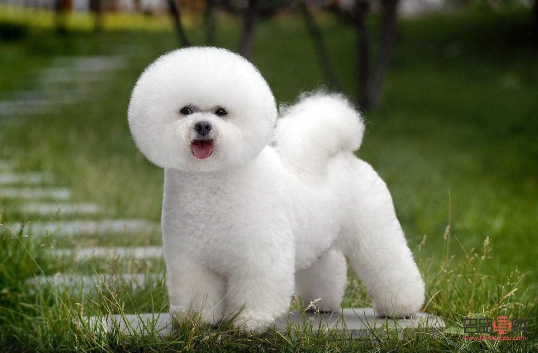 <h3>女美容师，为何不能成为理想的伴侣？</h3>