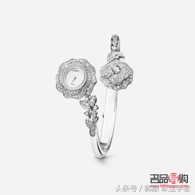 <h3>银耳美容秘籍：绽放肌肤光彩的秘诀</h3>