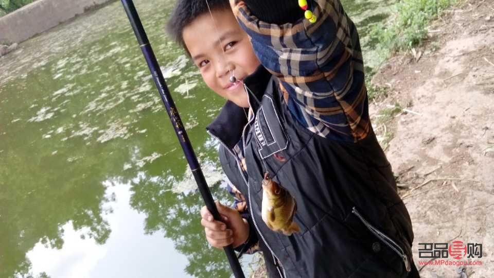 老狗怎样护理身体好呢(老狗怎样护理身体好呢视频)