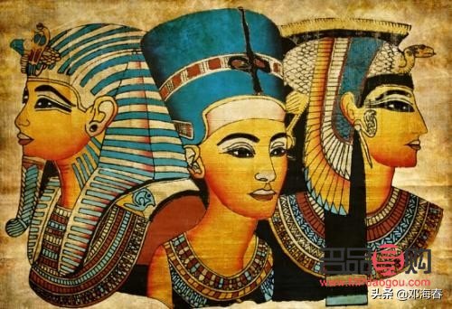 狗狗眼线(狗狗眼线虫怎么治疗)