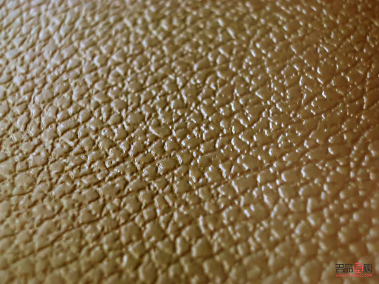 如何对鸵鸟护理好身体(如何对鸵鸟护理好身体健康)