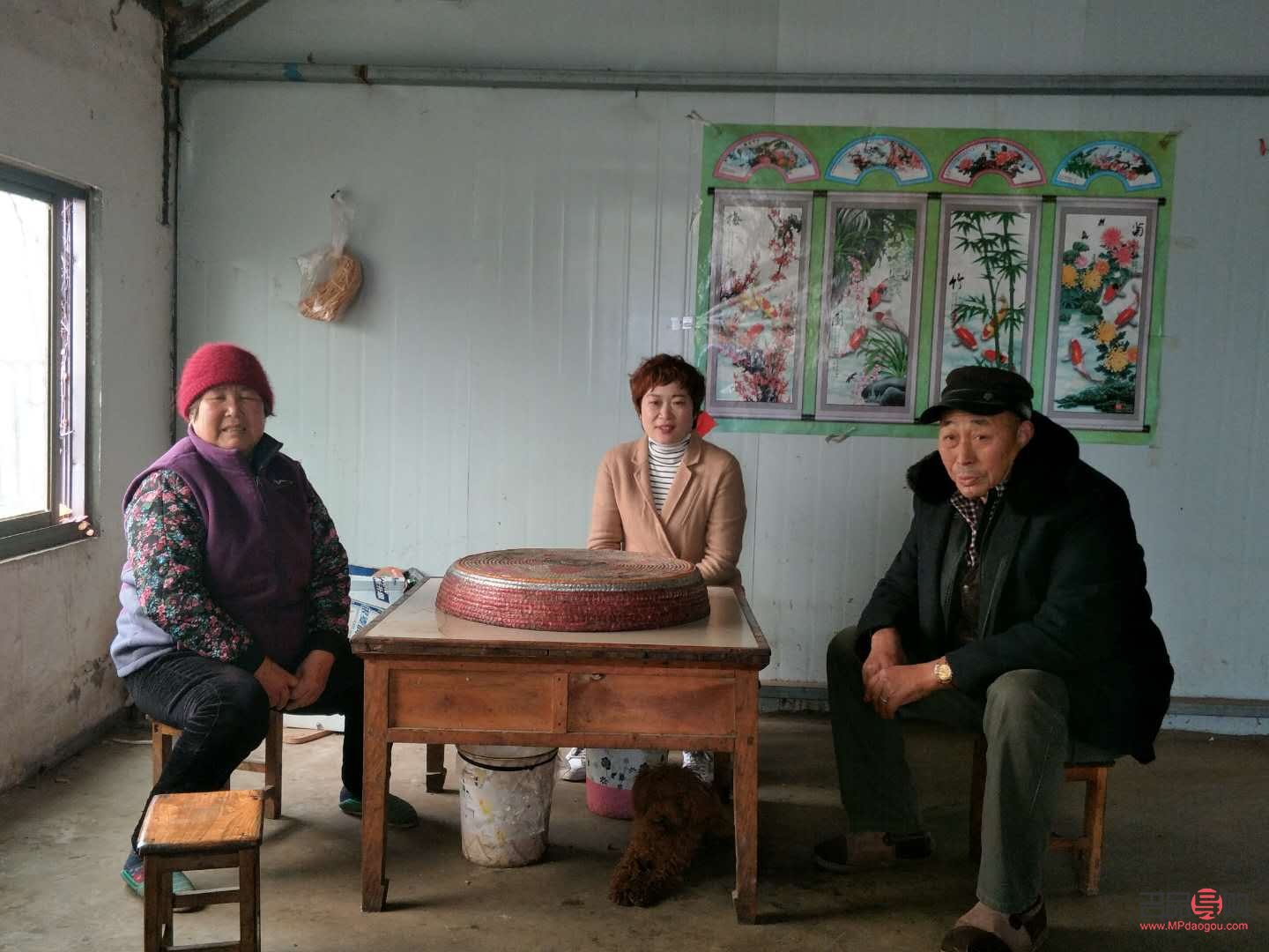 新沂身体护理哪里好点(新沂哪家医院看皮肤比较好)