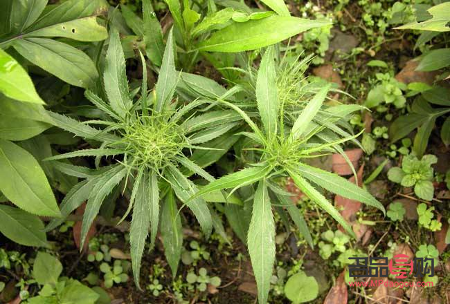 怎么把身体护理的光滑(怎么把身体护理的光滑去掉)