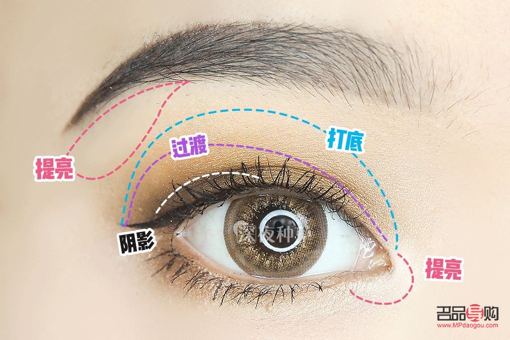 如何涂眼影视频教程(如何涂眼影视频教程图片)