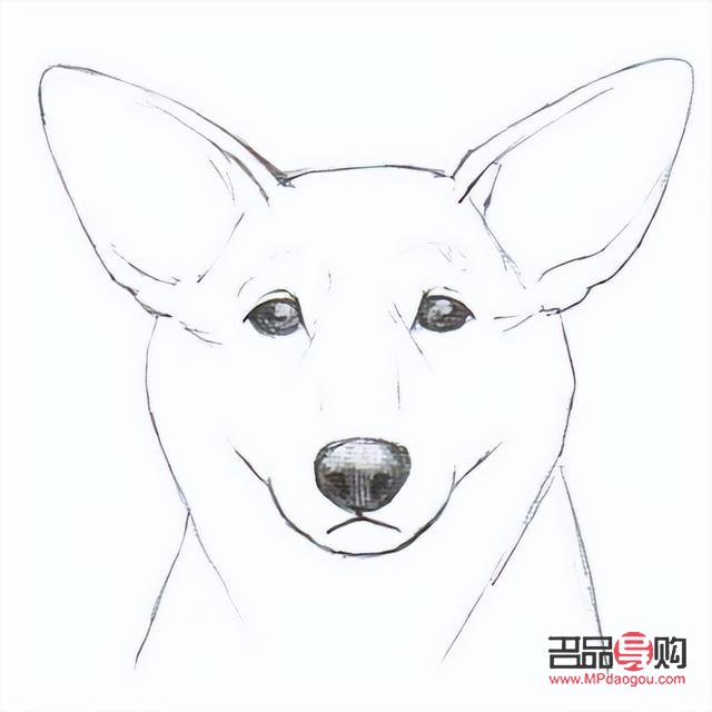 <h3>狗的眼睛怎么画好看简单</h3> <h3>狗的眼睛怎么画好看简单</h3>