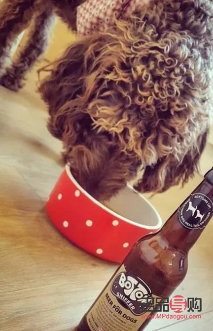 <h1>爱犬日常护理指南——打造健康亮丽的狗狗形象</h1>