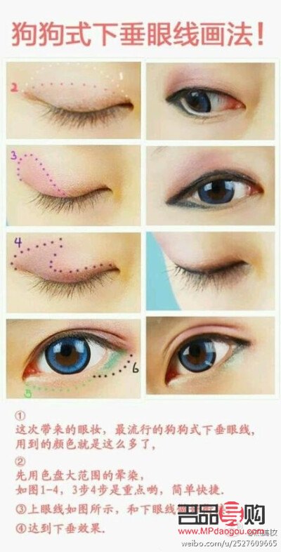 狗狗眼适合什么脸型(狗狗眼适合什么眉形)