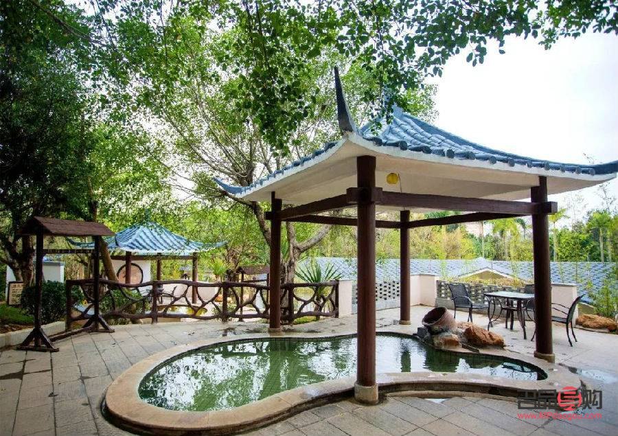 何首乌美容吗(何首乌美容吗有效果吗)