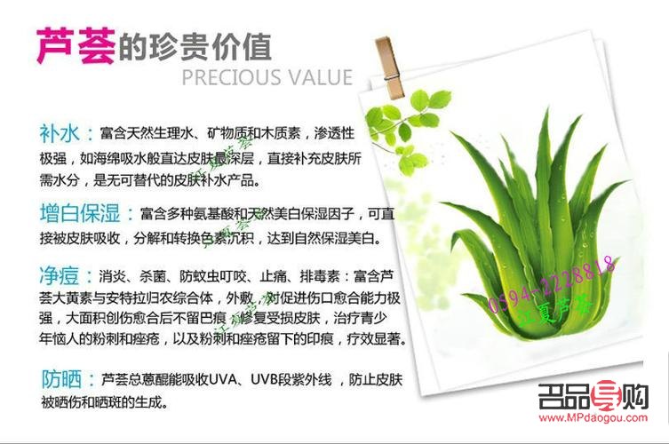 <h3>美容芦荟的种类及其独特功效</h3>