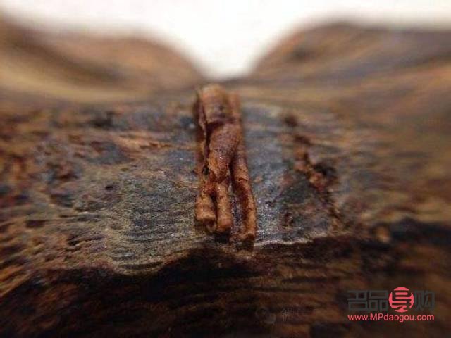 奇楠与美容：传统香材的新用途