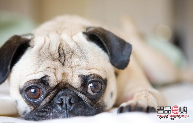 身体护理太频繁好吗(身体护理太频繁好吗女生) 身体护理太频繁好吗(身体护理太频繁好吗女生)