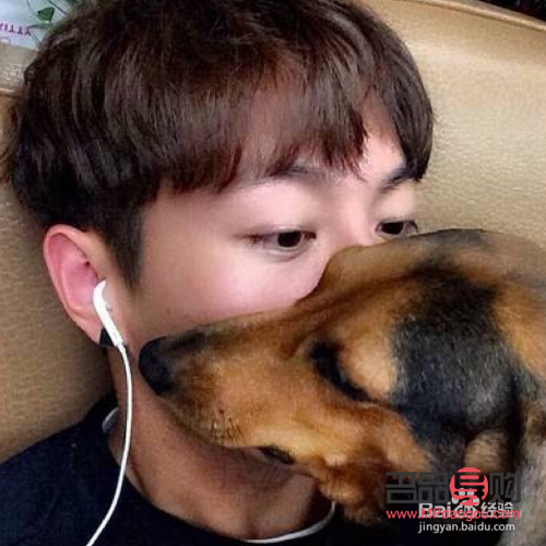 <h3>下垂狗狗眼的男生面相深度解析</h3> <h3>下垂狗狗眼的男生面相深度解析</h3>