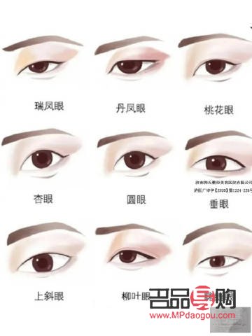 <h3>探索眼型奥秘：解读不同眼型特征与魅力</h3>