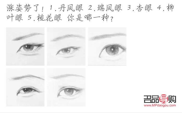 探索眼型奥秘：解读不同眼型特征与魅力