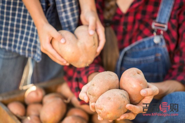卖菜的过年发什么礼物(卖菜的过年发什么礼物好)