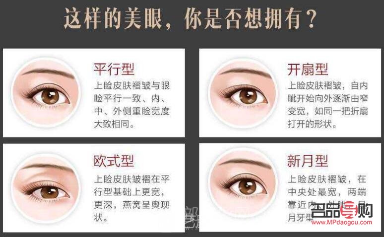双眼皮各种眼型(双眼皮各种眼型图片)