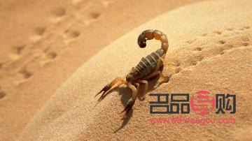 <h3>蝎子美容：真相与误区的探讨</h3>