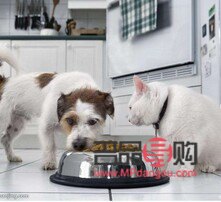 <h1>宠物美容全攻略：打造靓丽爱宠的秘诀与方法</h1>