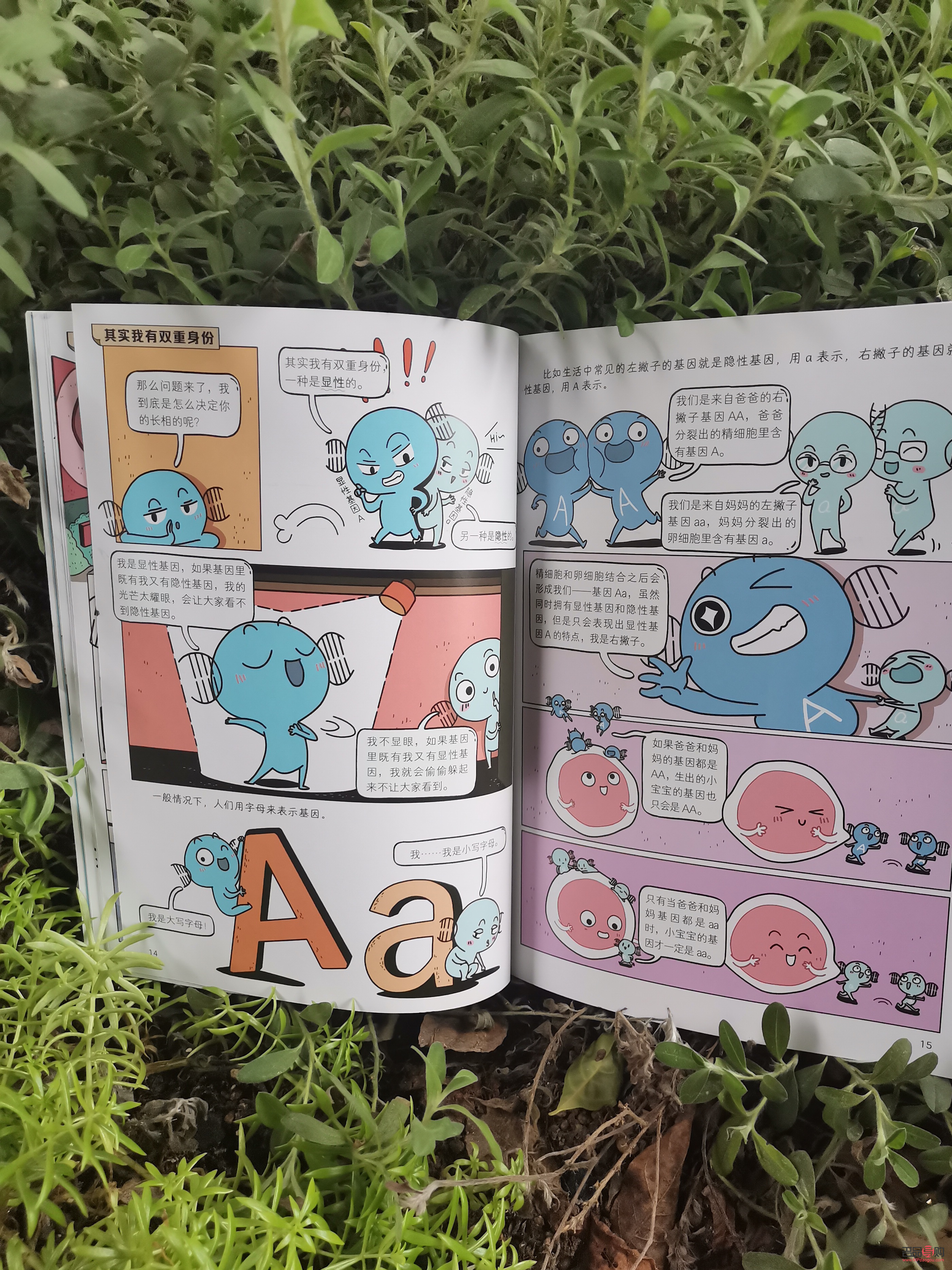 全切双眼皮窄改宽好改吗(全切双眼皮窄改宽修复原理)