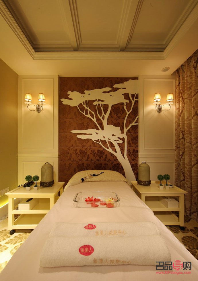 美容院养什么小鱼(美容院养什么小鱼好)