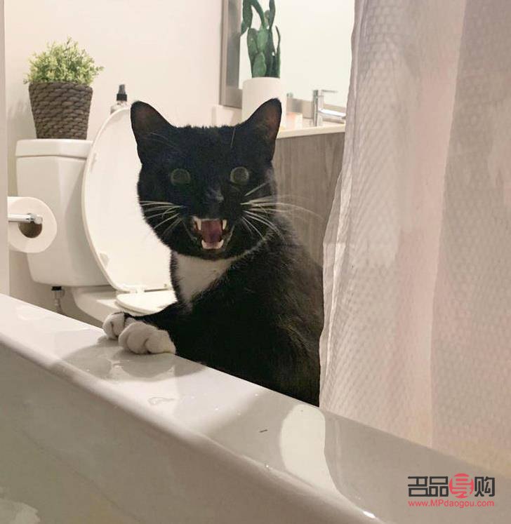 怎么画日常彩妆瓶(怎么画日常彩妆瓶图片)