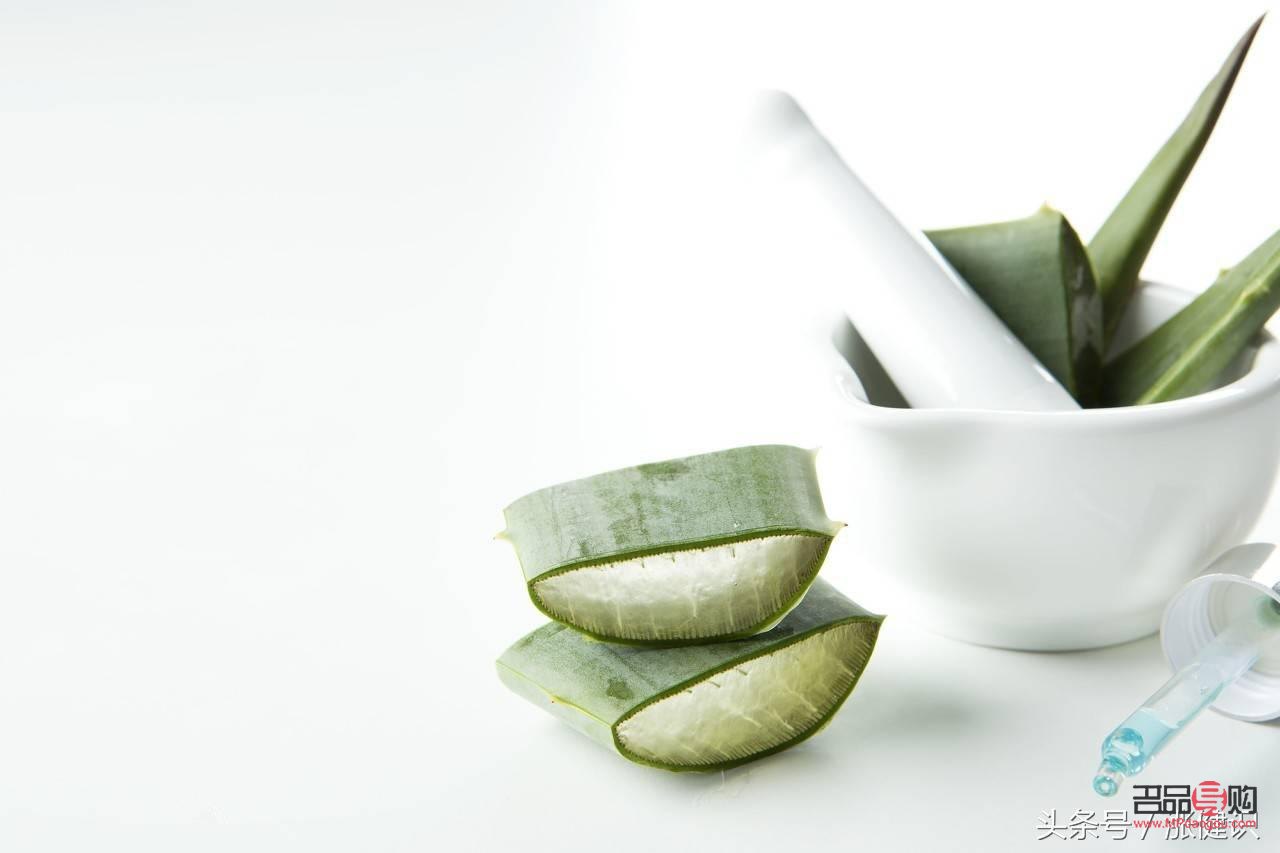 <h3>芦荟美容宝典：揭秘哪种芦荟才是美容圣品</h3>