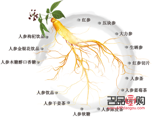 人参的美容功效深度解析