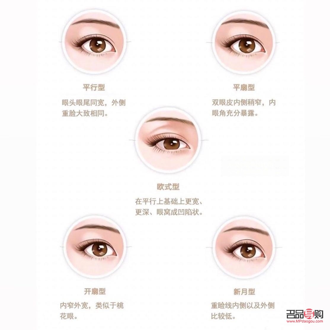 双眼皮最好看的眼型大揭秘