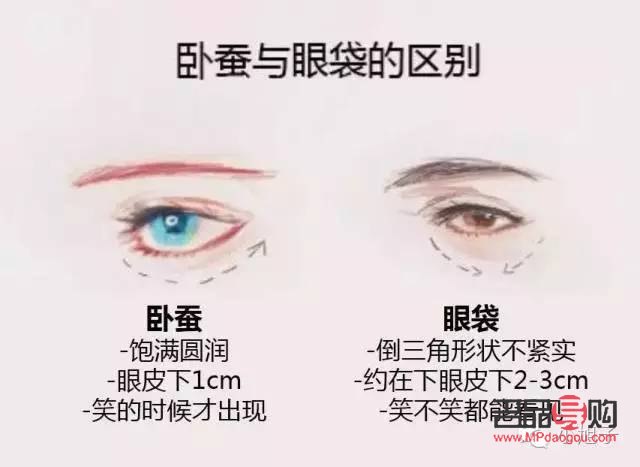 何为卧蚕眼(什么叫卧蚕眼睛)