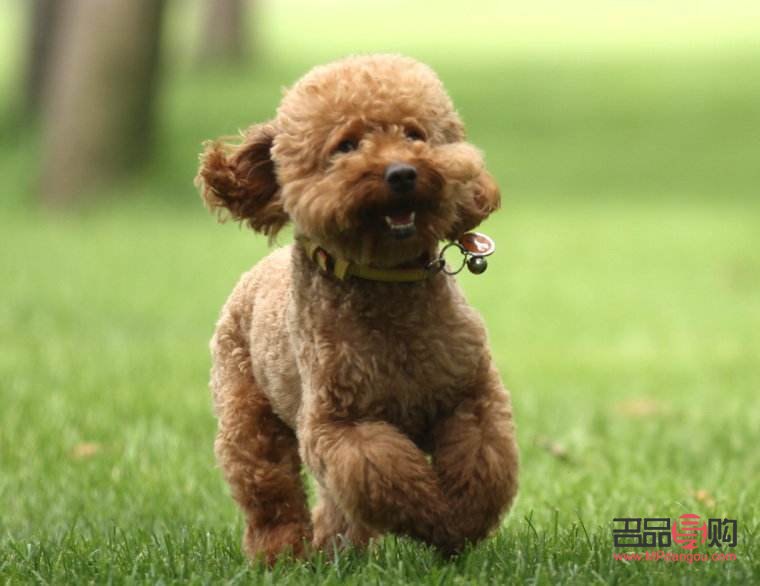 美容院信得过吗(美容院能相信吗)