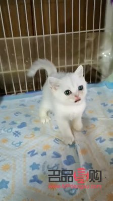 身体除毛后的护理秘诀