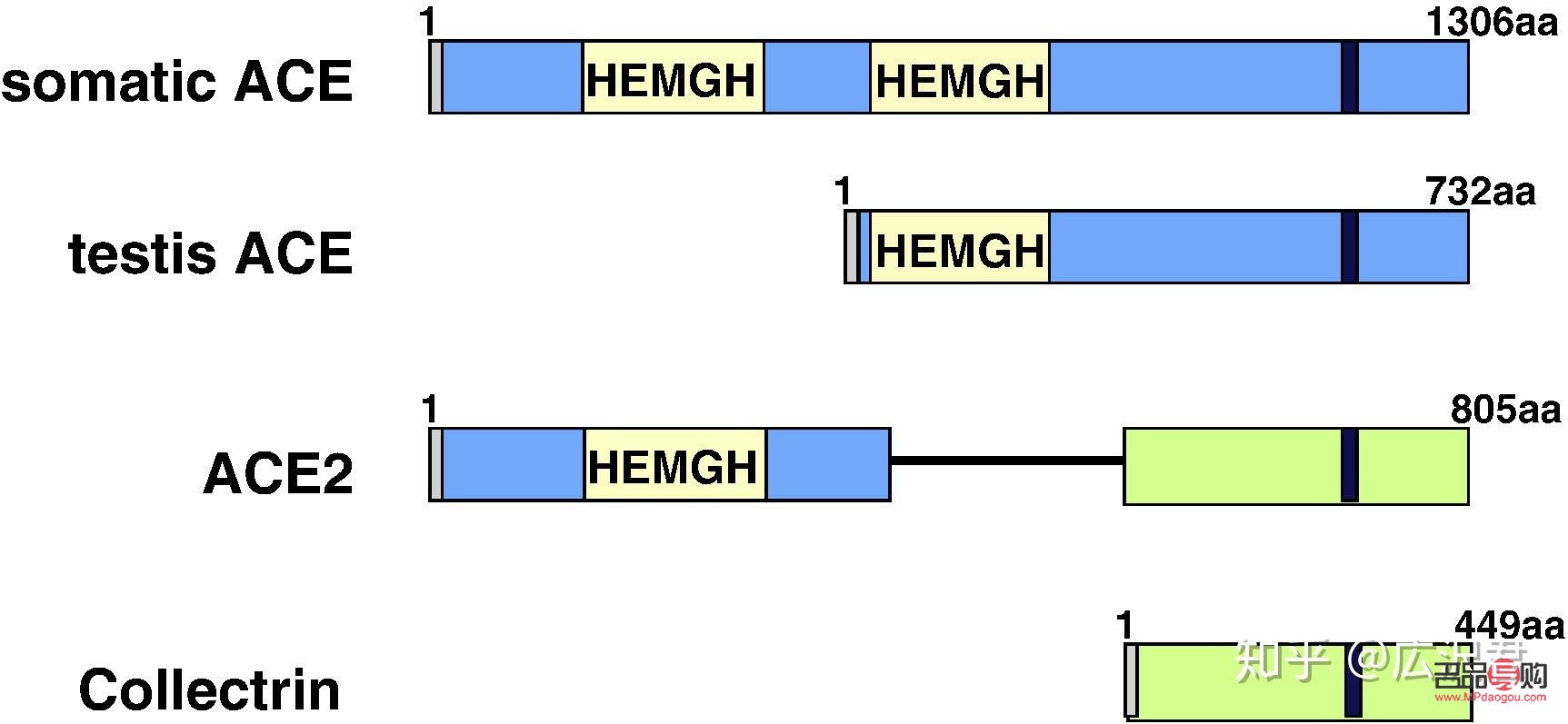 金店退款政策解析：满足哪些条件才能顺利退款？