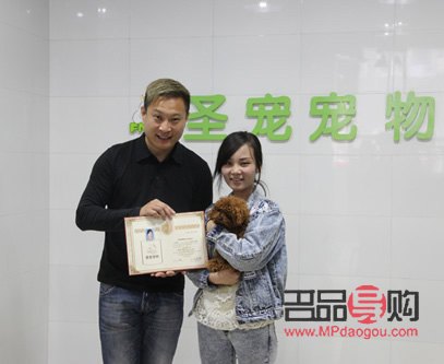 <h3>学宠物美容的优势与前景</h3>