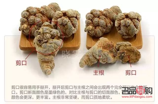 三七美容么(三七美容吗?)