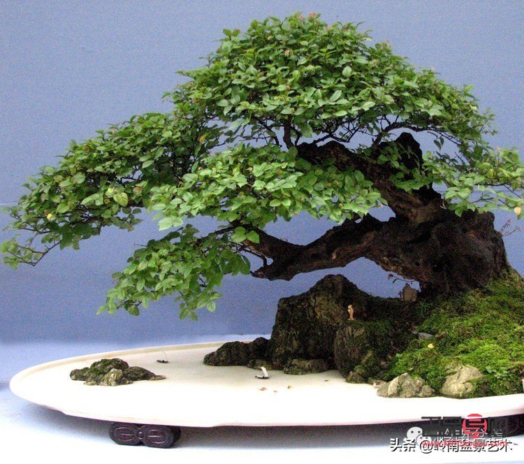 &amp;lt;h1&amp;gt;全面解析身体护理的方方面面&amp;lt;/h1&amp;gt;