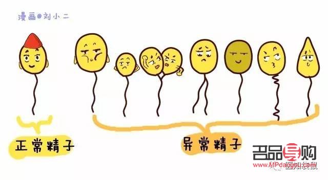 <h3>精子可以美容么？科学解读精子与美容的关系</h3>