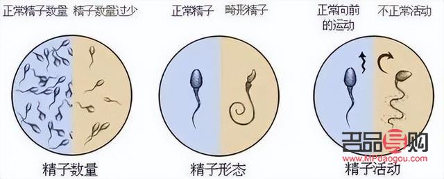 <h3>精子可以美容么？科学解读精子与美容的关系</h3>