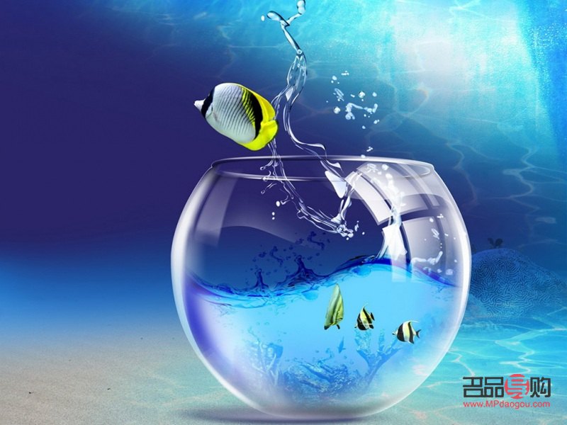 孕妇怎么做身体护理(孕妇怎么做身体护理最好)