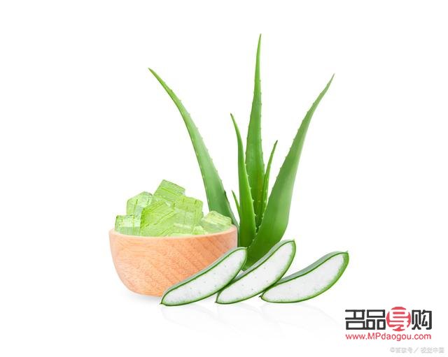 什么可以美容植物(什么可以美容植物呢)