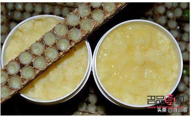 蜂皇浆美容功效探究，自然养颜新选择