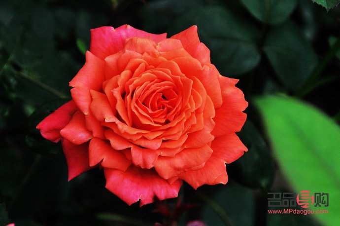 <h3>法国回中国带什么礼物？这些精选让你倍儿有面子！</h3>