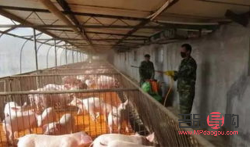 彩妆刷子如何消毒(彩妆刷子如何消毒处理)